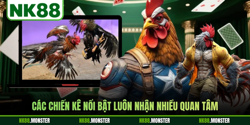 Các chiến kê nổi bật luôn nhận nhiều quan tâm